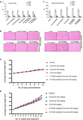 Targeting Thymidylate Synthase Enhances the Chemosensitivity of Triple-Negative Breast Cancer Towards 5-FU-Based Combinatorial Therapy